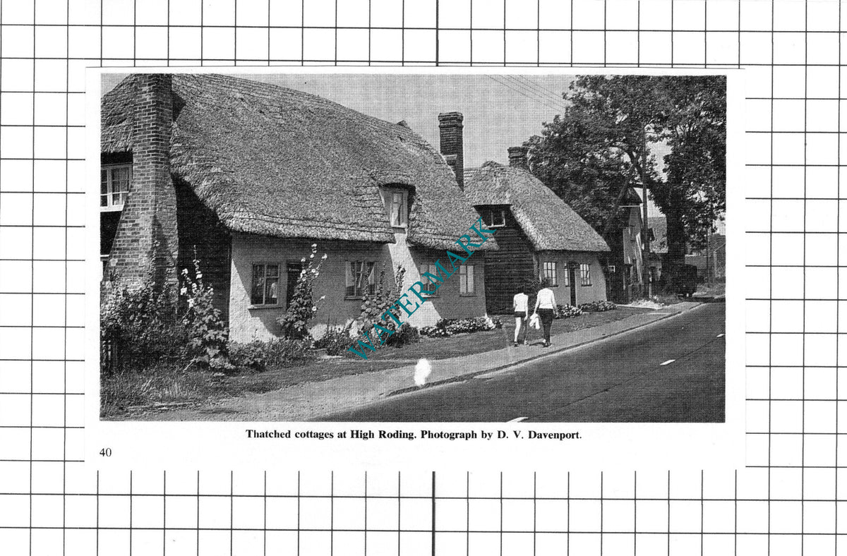 High Roding Essex Cottages - c.1967 Clipping / Print