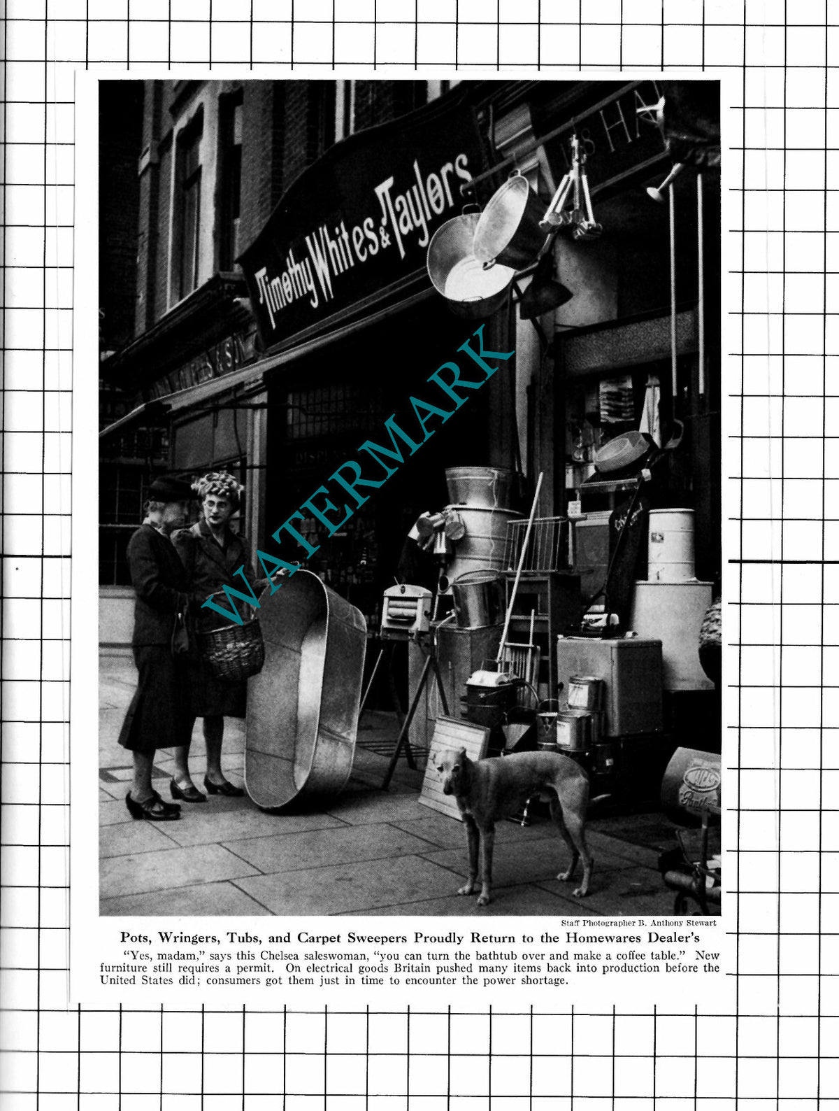 Timothy Whites & Taylors Chelsea London - 1947 Clipping