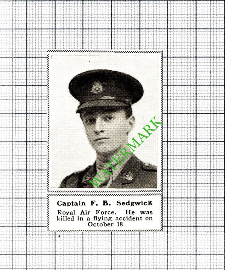 Captain F B Sedgwick Royal Air Force RAF Great War WW1 - 1918 SMALL Cutting