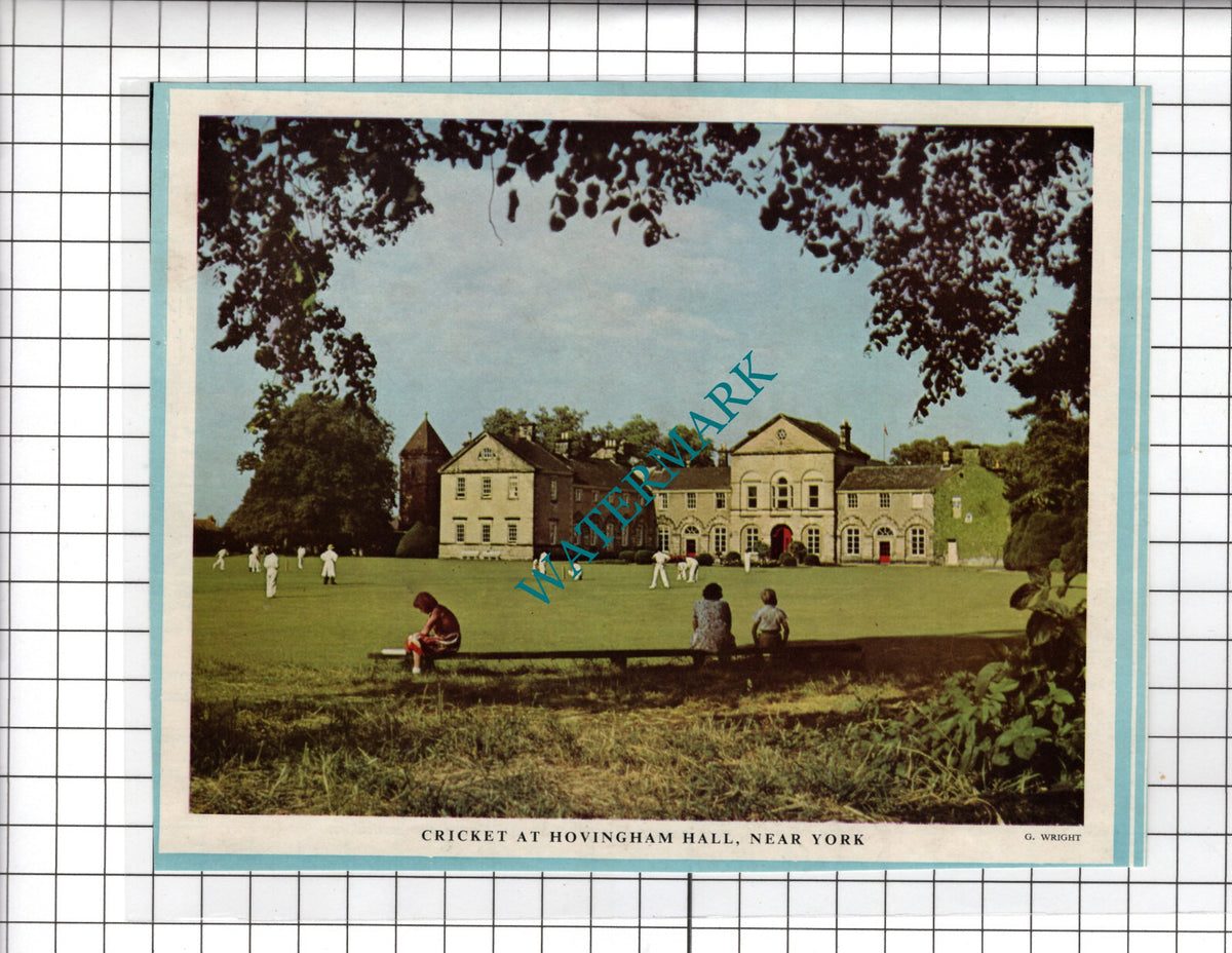 Hovingham Hall Yorkshire Cricket - 1956 Clipping
