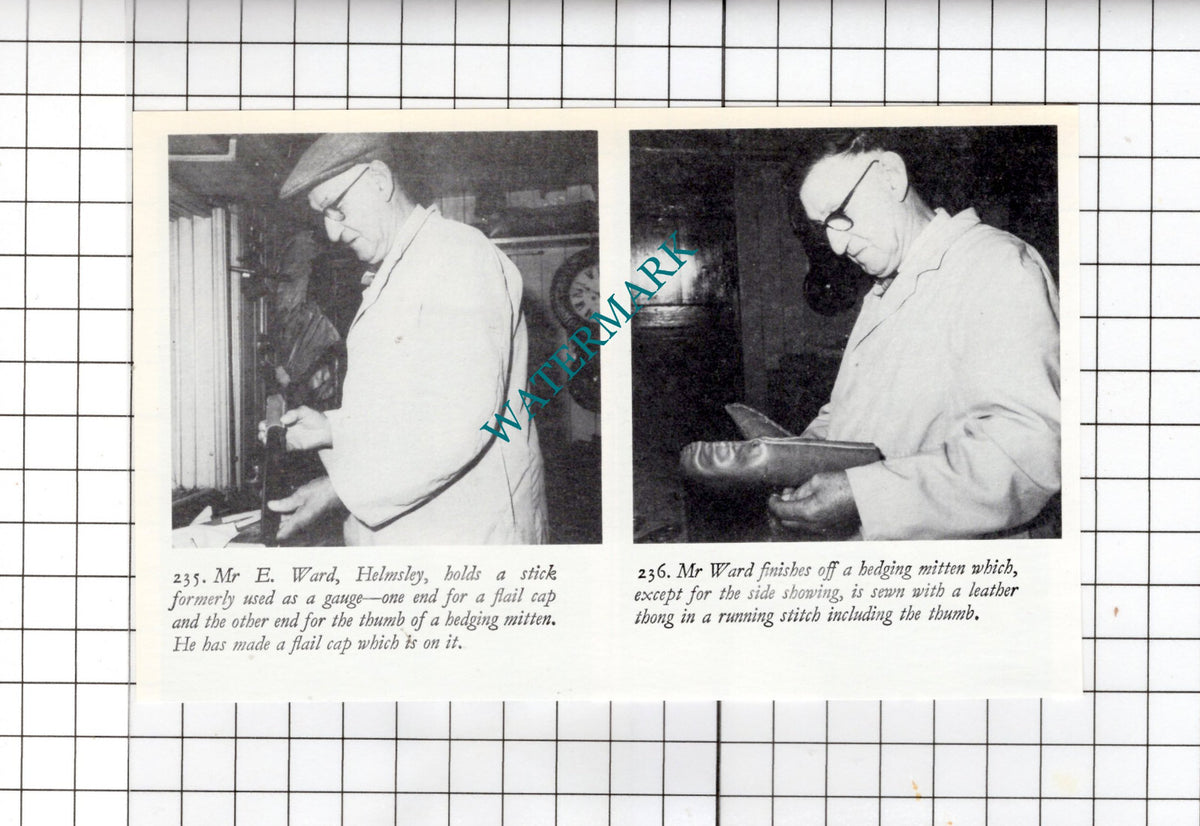 Mr E Ward Helmsley Yorkshire - Small Clipping
