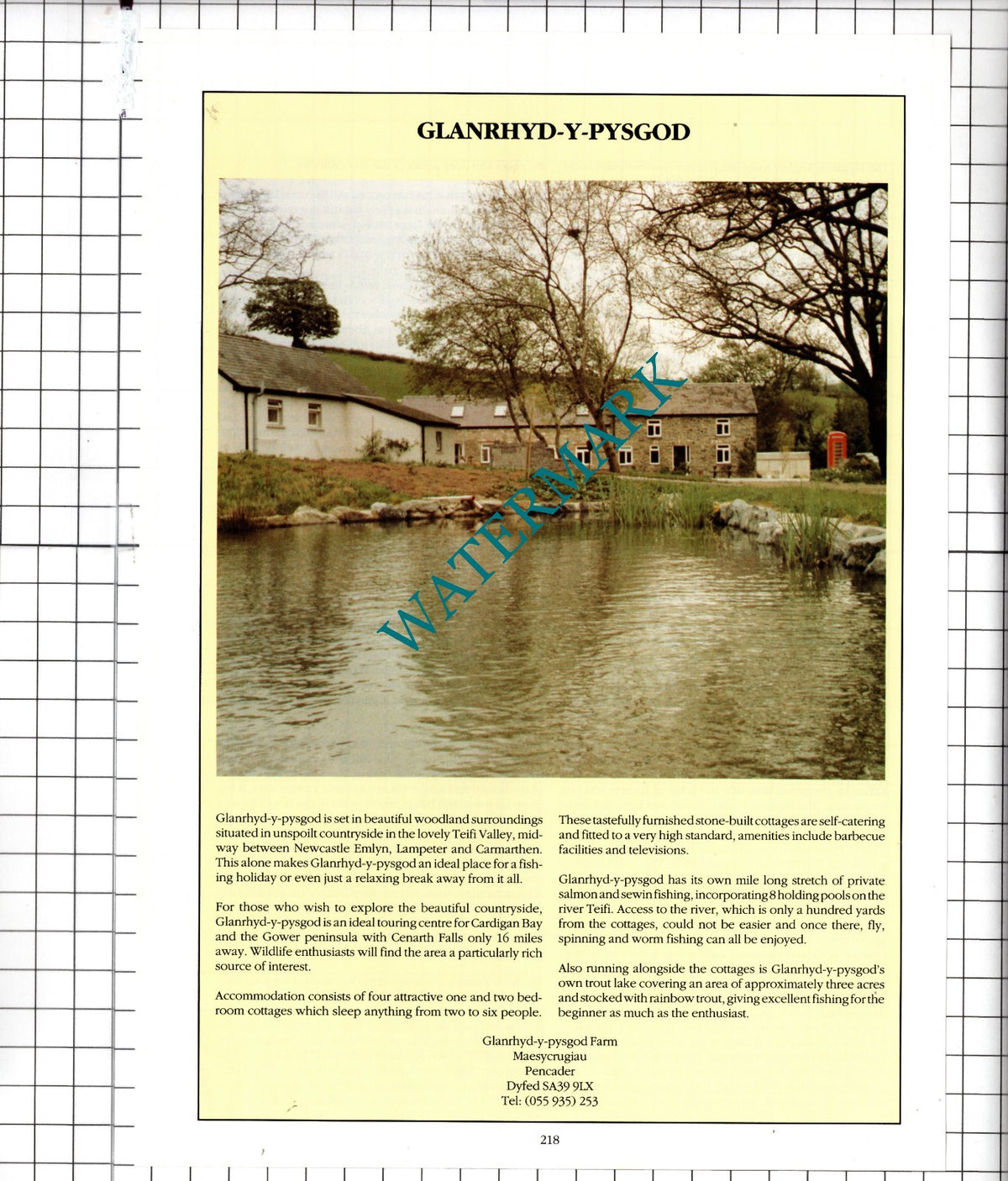 Glanrhyd-y-Pysgod Maesycrugiau Pencader Dyfed Wales - 1991 Advert