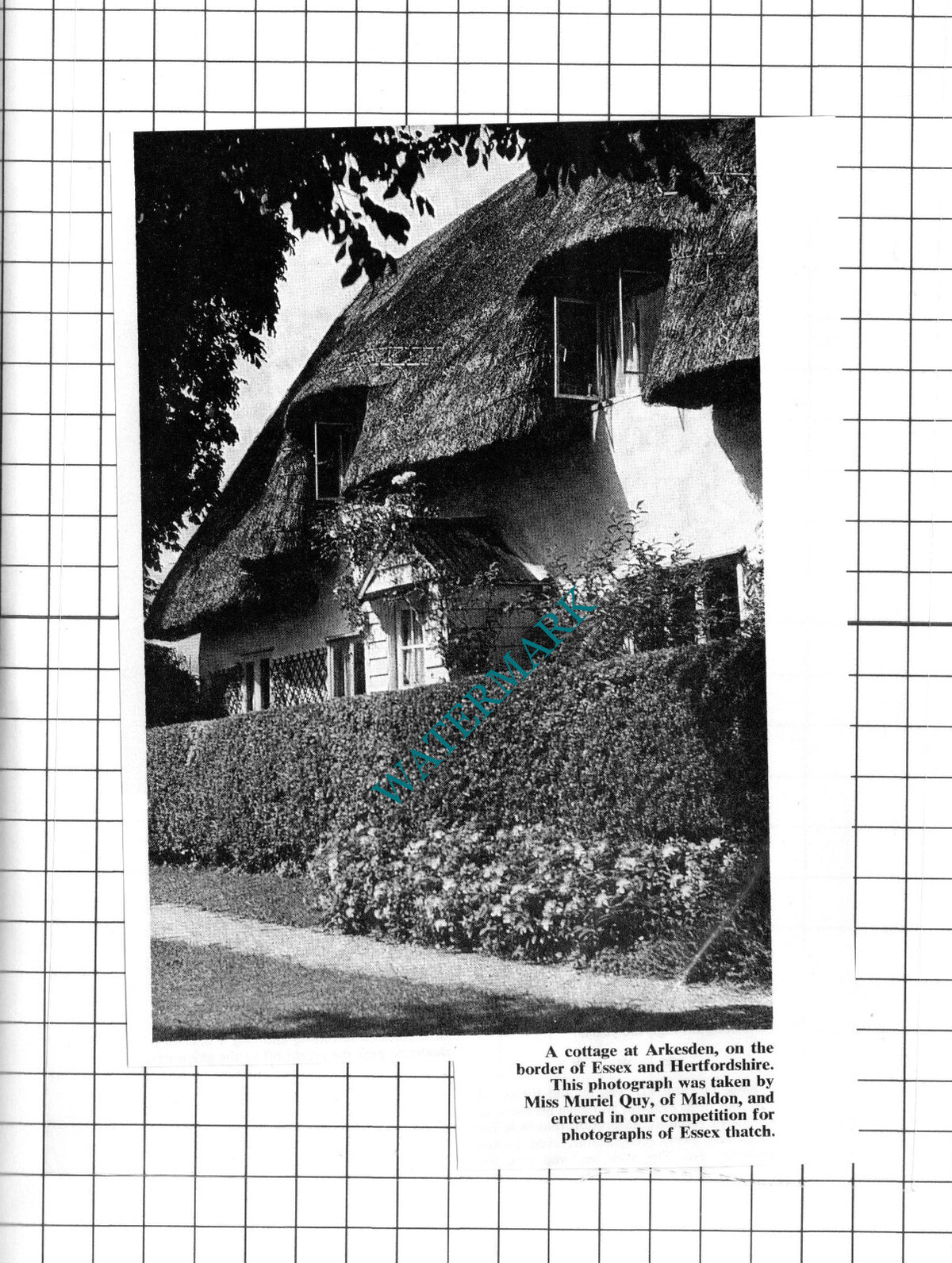 Arkesden Essex Thatched Cottage - 1967 Clipping
