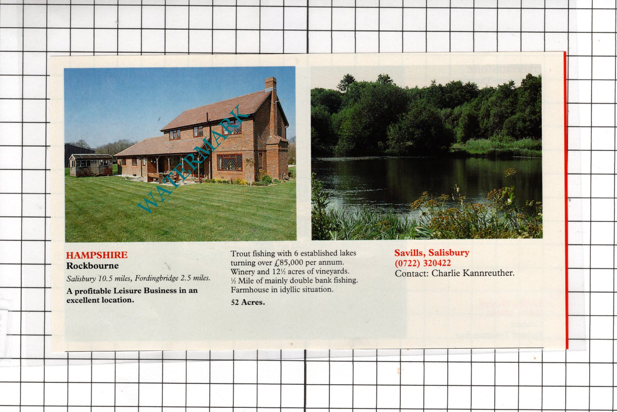 Henley On Thames Oxfordshire / Rockbourne Hampshire - 1991 House Sale Advert