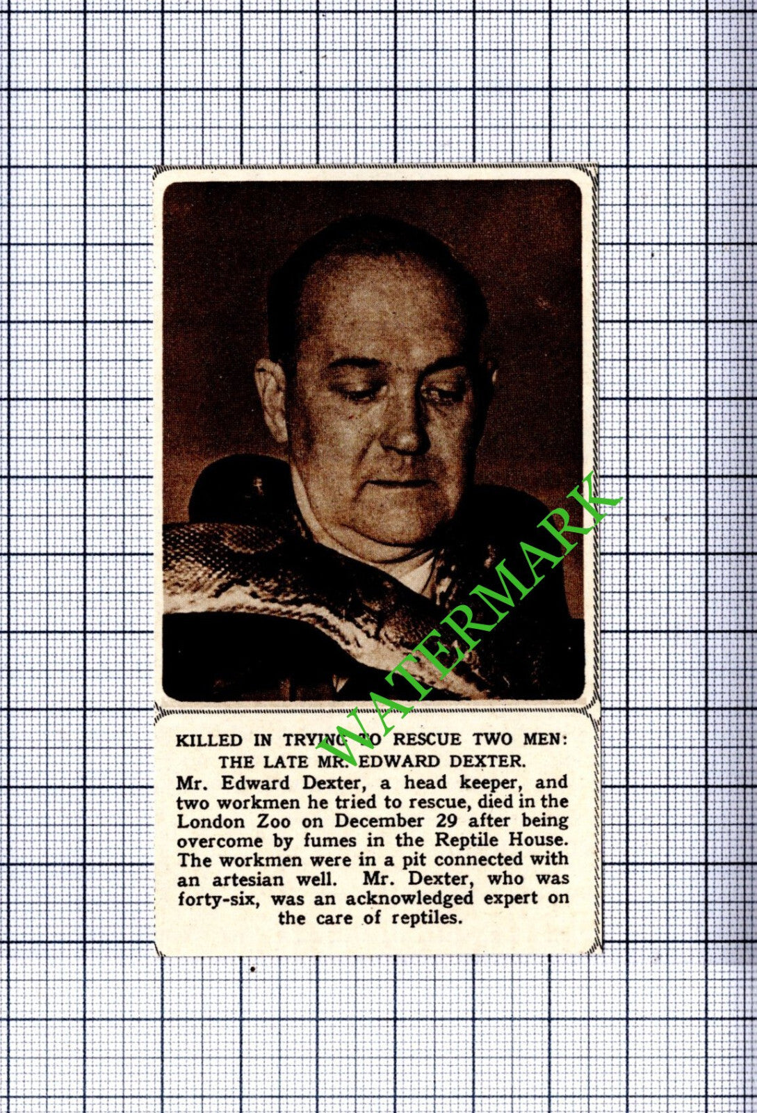 Mr Edward Dexter London Zoo Obituary - 1961 Small Cutting