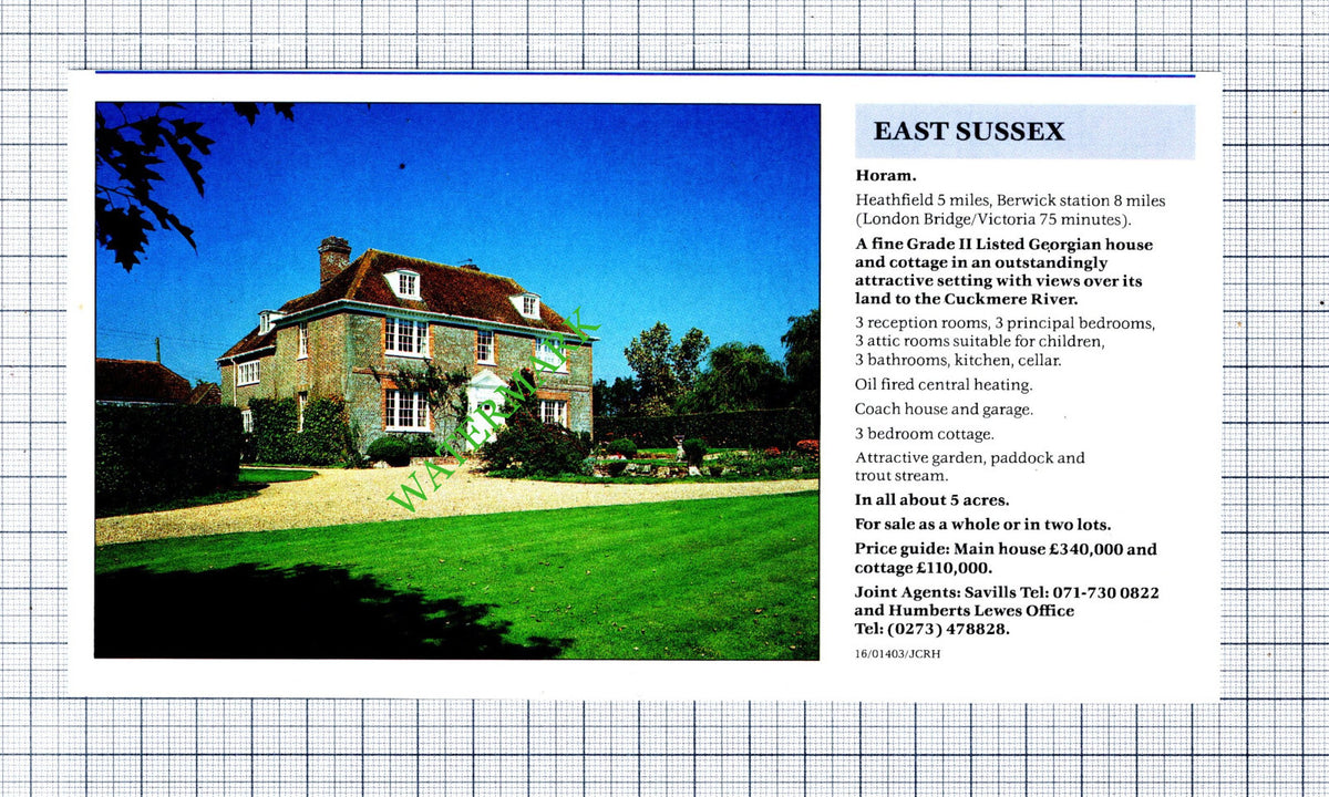 Horam East Sussex House Sale Advert - 1991 Cutting