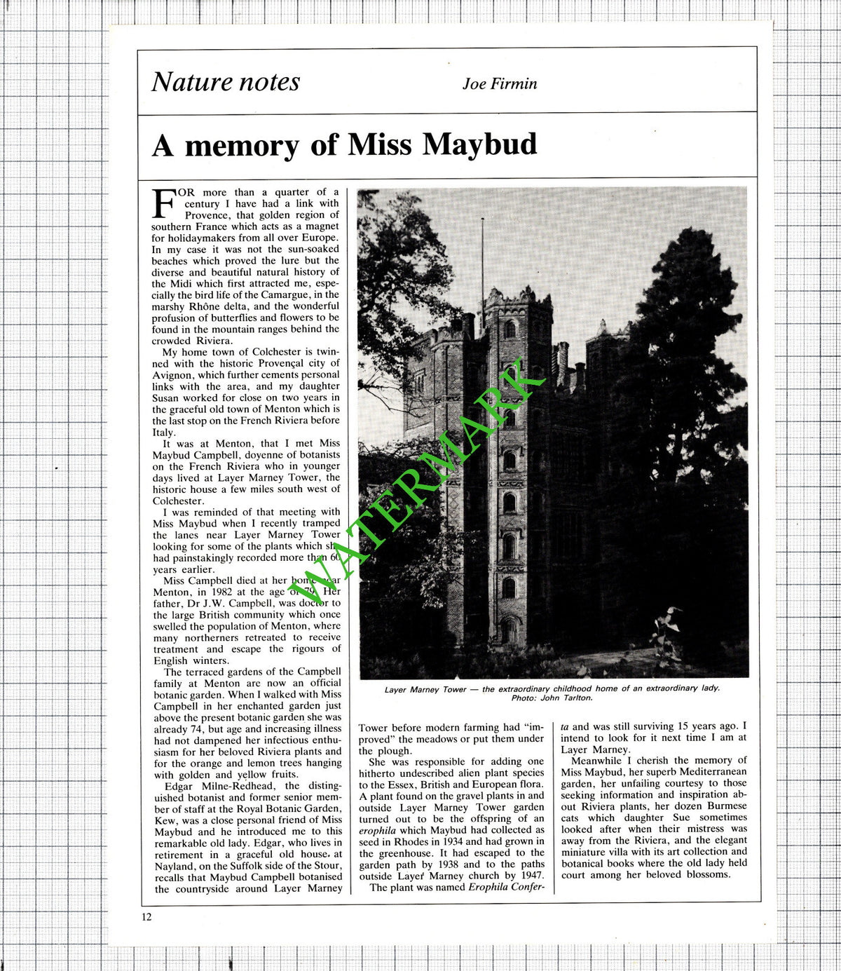 Layer Marney Tower Miss Maybud Campbell- 1985 Article