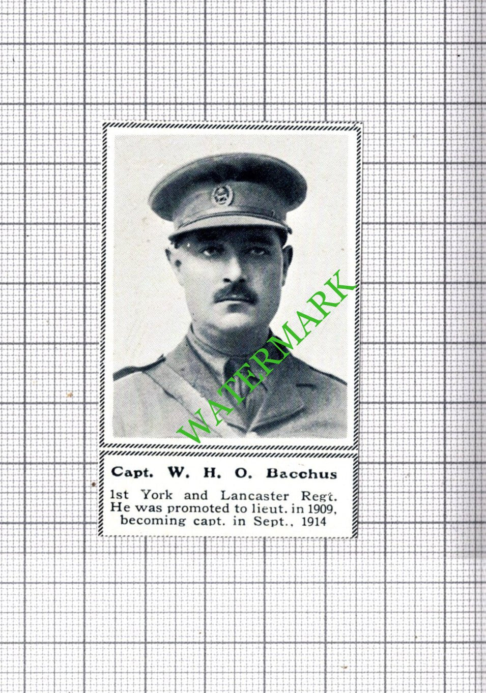 Capt W H O Bacchus 1st York and Lancaster Regt - c.1918 SMALL Cutting