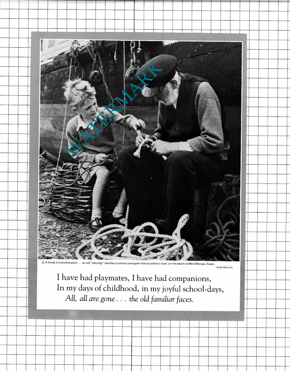 West Mersea Essex Fisherman - 1980 Clipping / Print