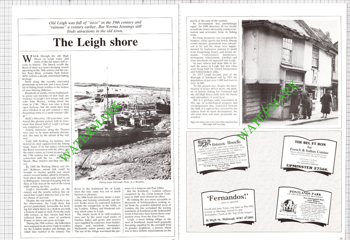 Leigh Essex - 1986 Article