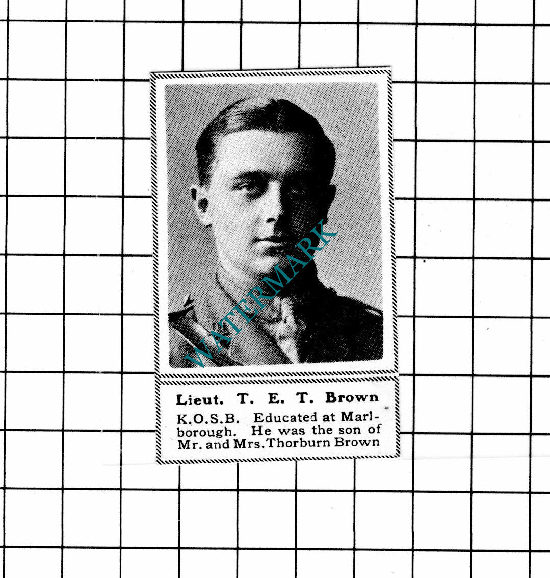 Lt T E T Brown KOSB King's Own Scottish Borderers WW1 - c.1918 SMALL Clipping