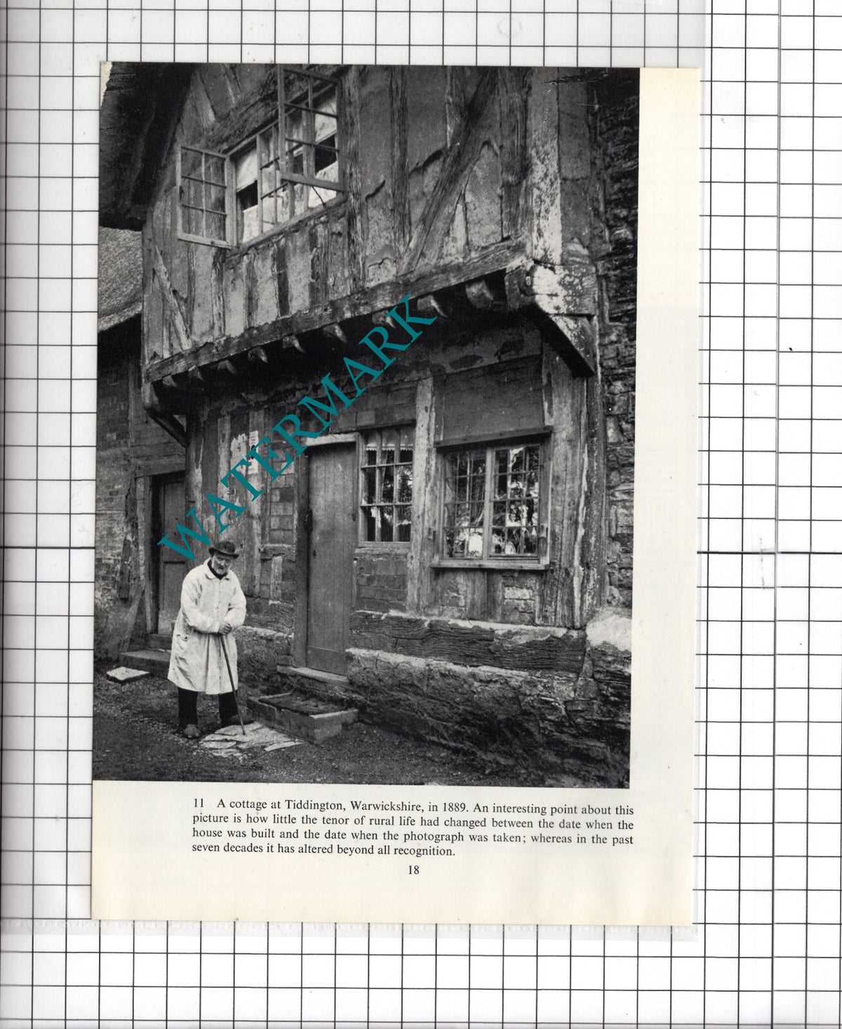 Tiddington Warwickshire - Cutting