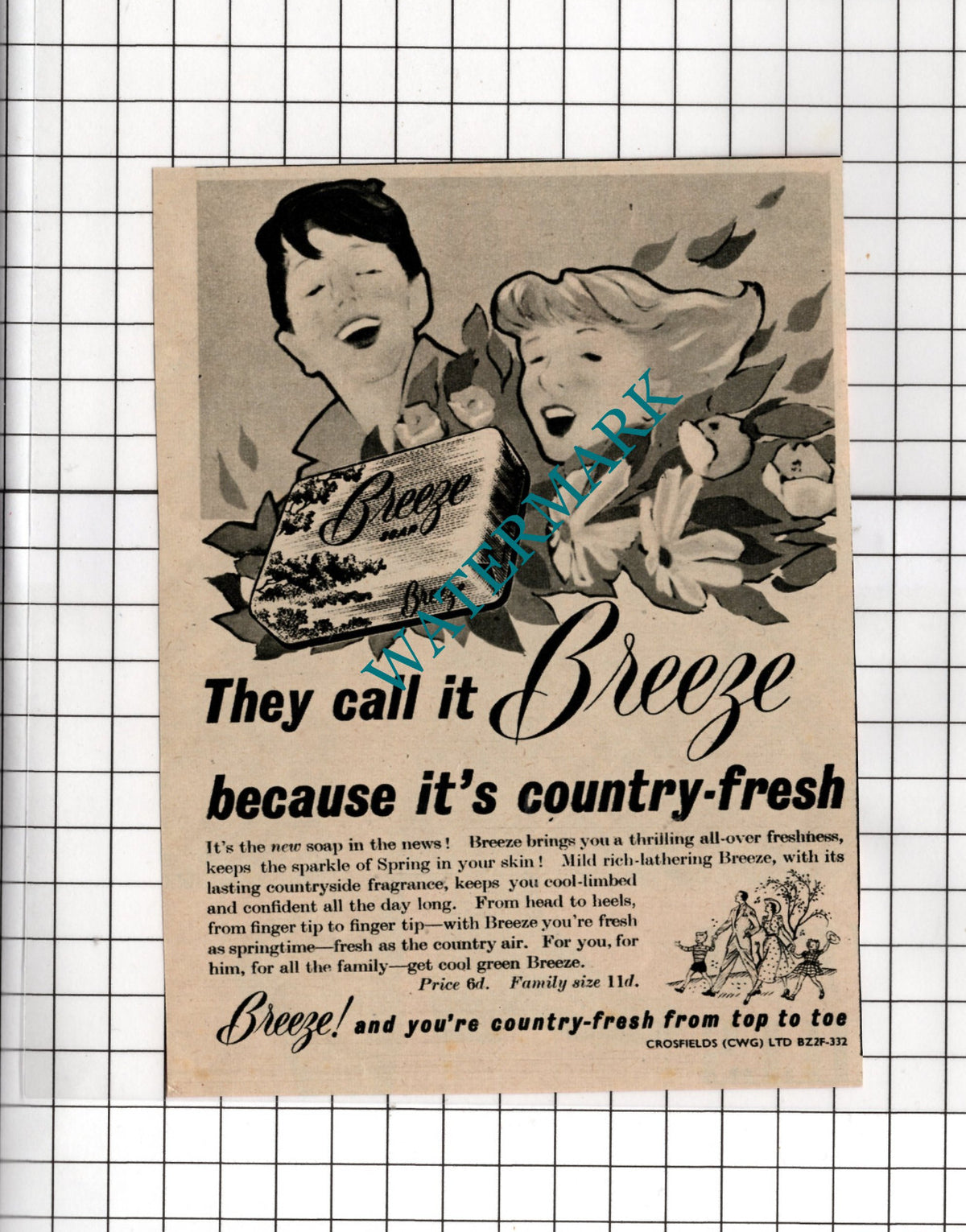Breeze Soap Small Advert - 1951 Cutting