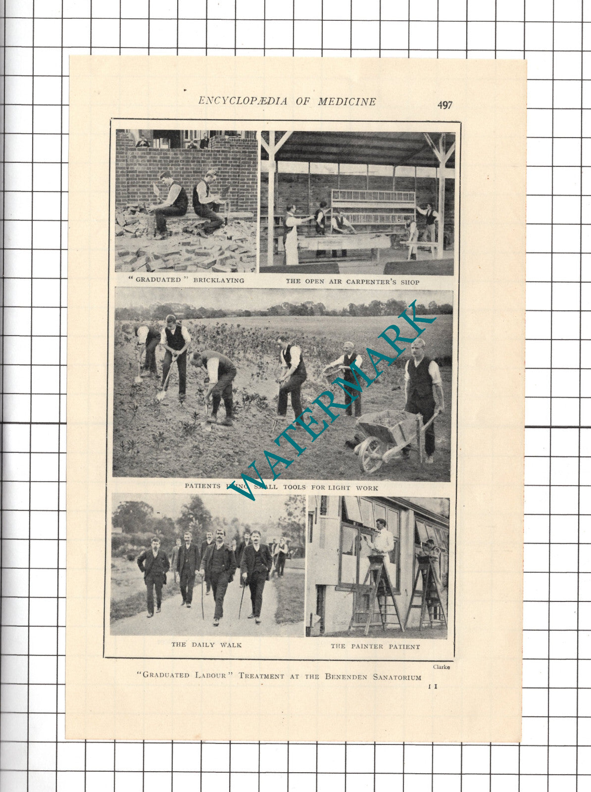The National Sanatorium Benenden Kent - c.1914 Cutting