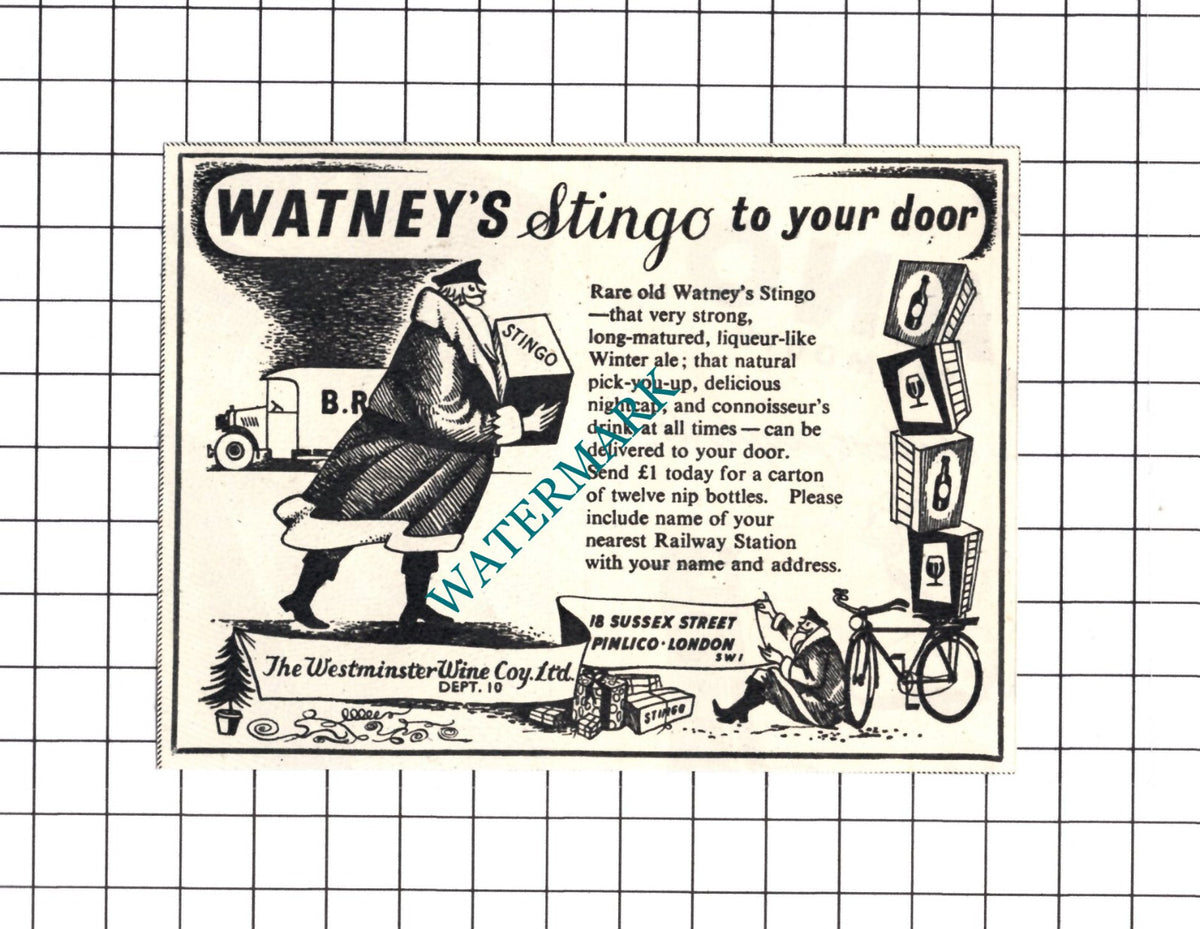 Watney's Stingo Westminster Wine Co Ltd Small Advert - 1950 Cutting