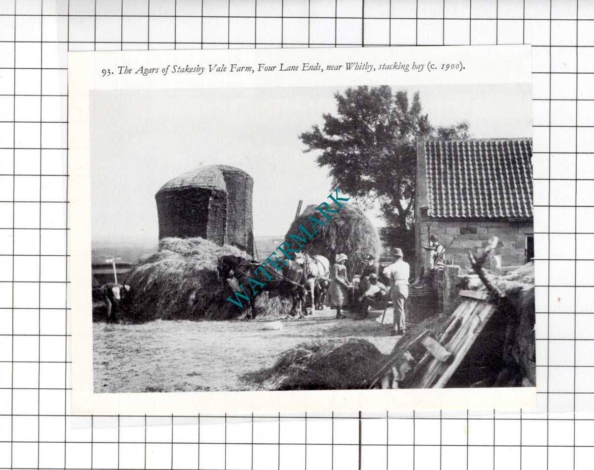 Agar Stakesby Vale Farm Four Lane Ends Whitby Yorkshire - Small Clipping