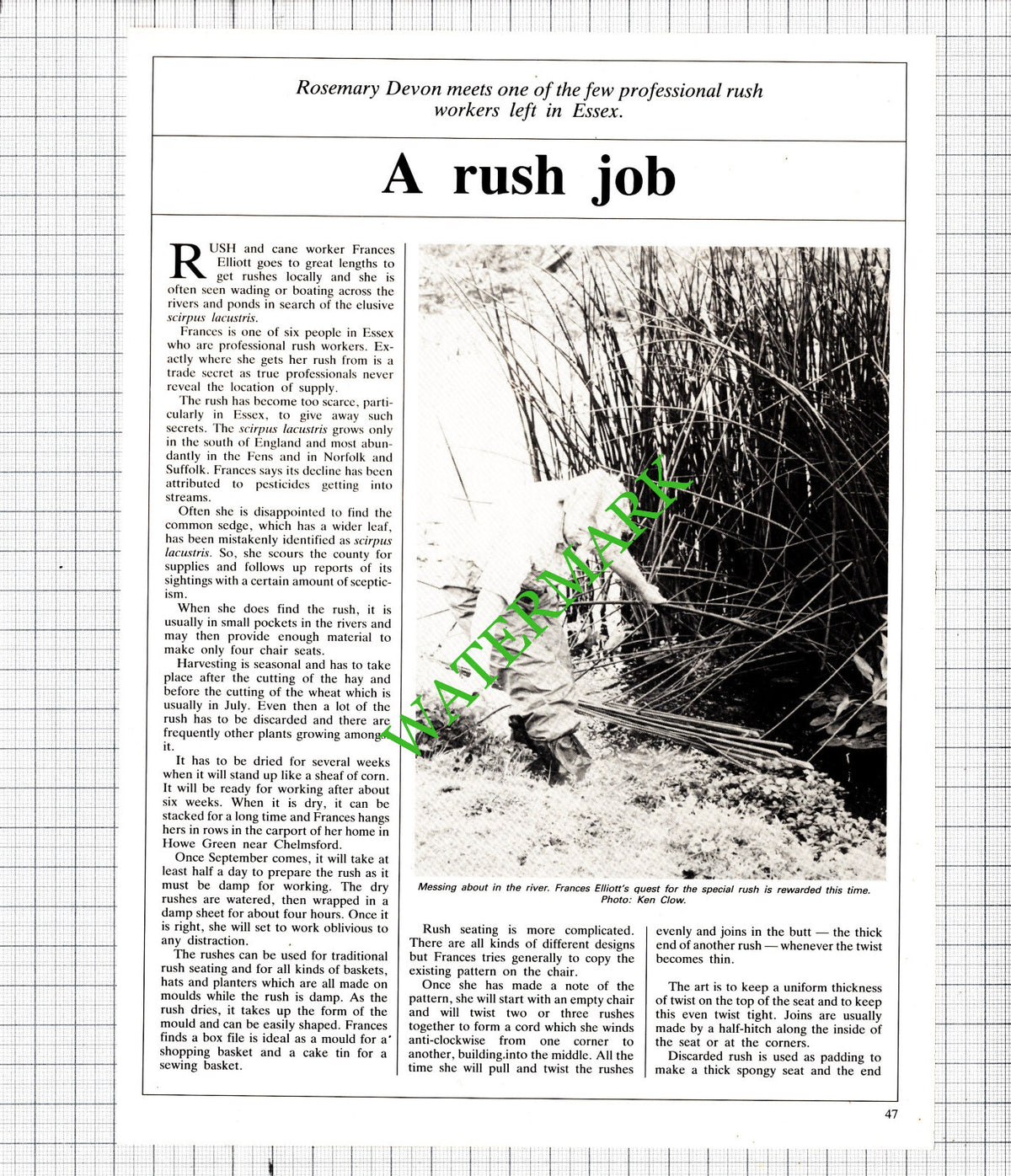 Frances Elliott Howe Green Essex Cane Worker- 1985 Article