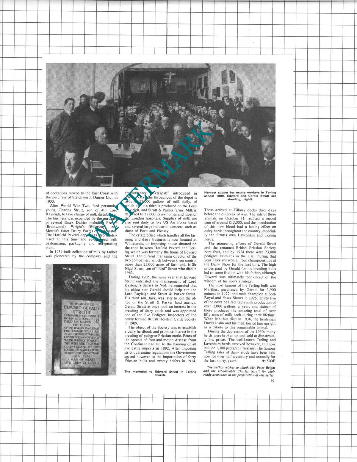 Edward Strutt Family Terling Essex Gerald Strutt - 1978 Article