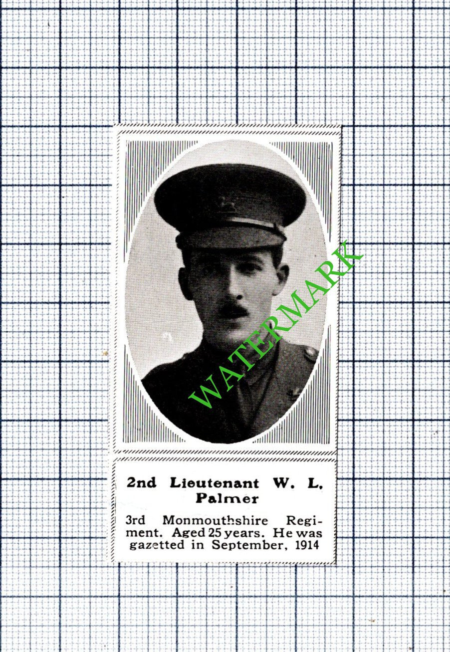 2nd Lt W L Palmer 3rd Monmouthshire Regiment WW1 - 1915 SMALL Cutting