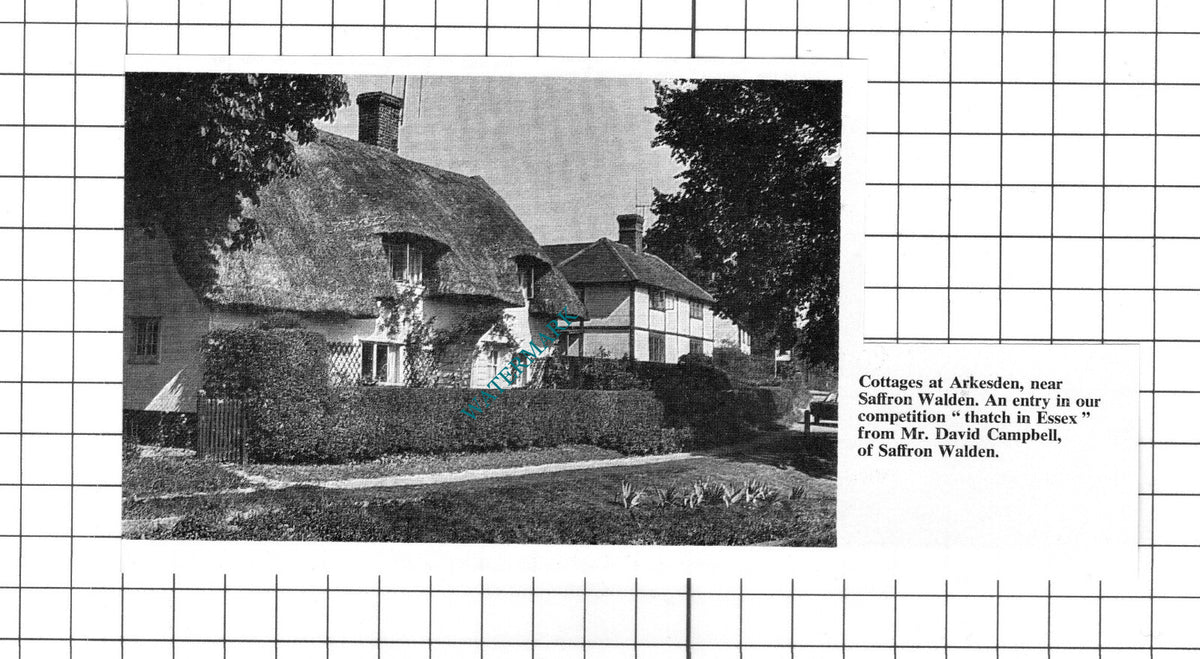 Arkesden Essex Thatched Cottages - 1967 Clipping