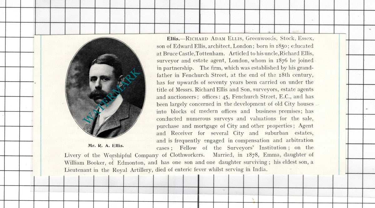 Richard Adam Ellis Greenwoods Stock Essex - c.1905 Clipping