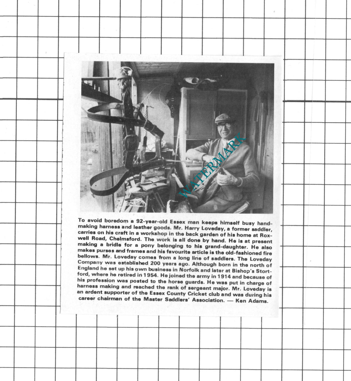 Mr Harry Loveday Chelmsford Essex Saddler - 1978 Small Clipping