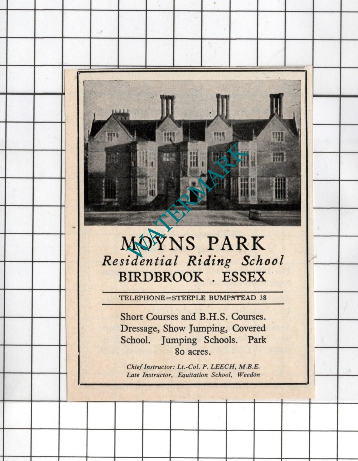 Moyns Park Riding School Birdbrook Essex Small Advert - 1949 Clipping