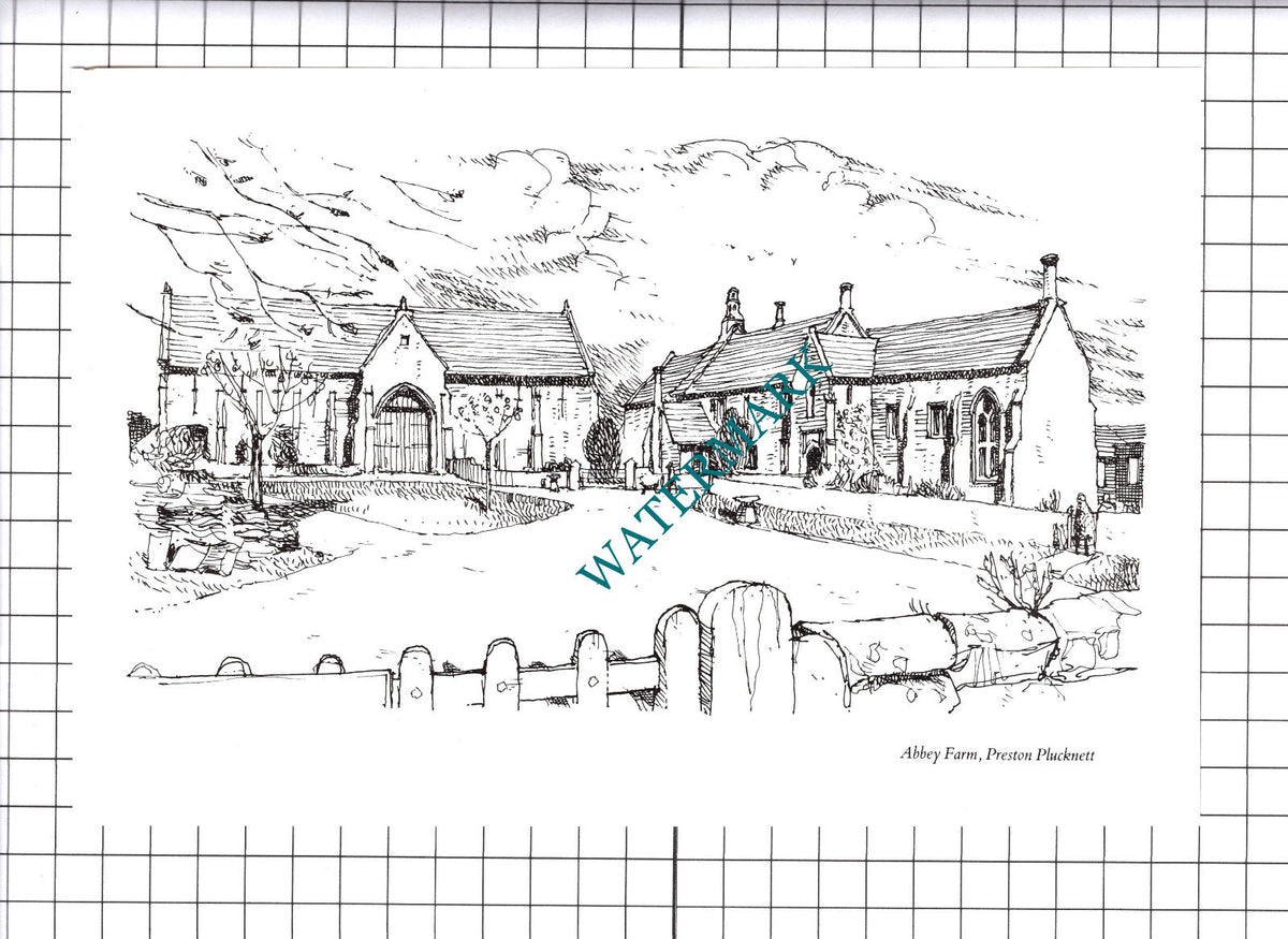 Abbey Farm Preston Plucknett Somerset - 1980's Cutting / Print