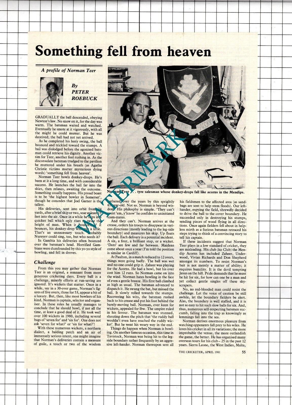 Norman Teer Cricketer Cricket - 1981 Article