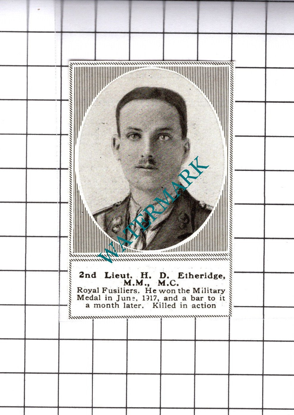2nd Lt H D Etheridge Royal Fusiliers Great War WW1 - 1919 SMALL Cutting