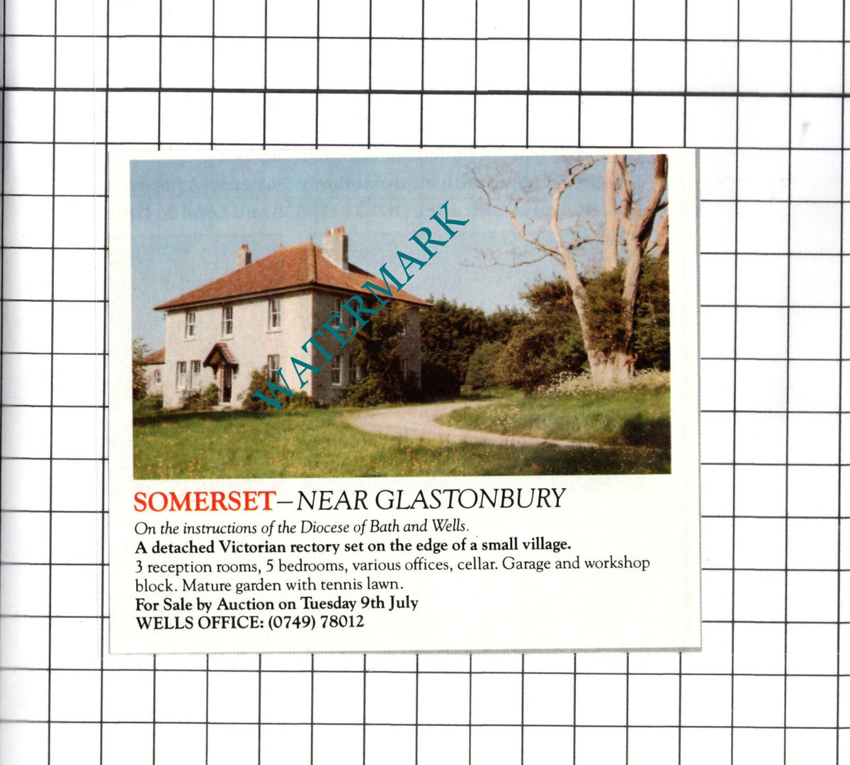 Glastonbury Somerset House Sale Advert - 1991 Clipping