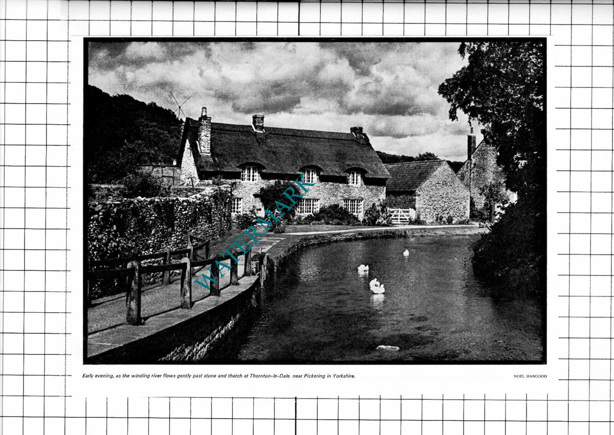 Thornton-le-Dale Yorkshire - 1975 Clipping / Print