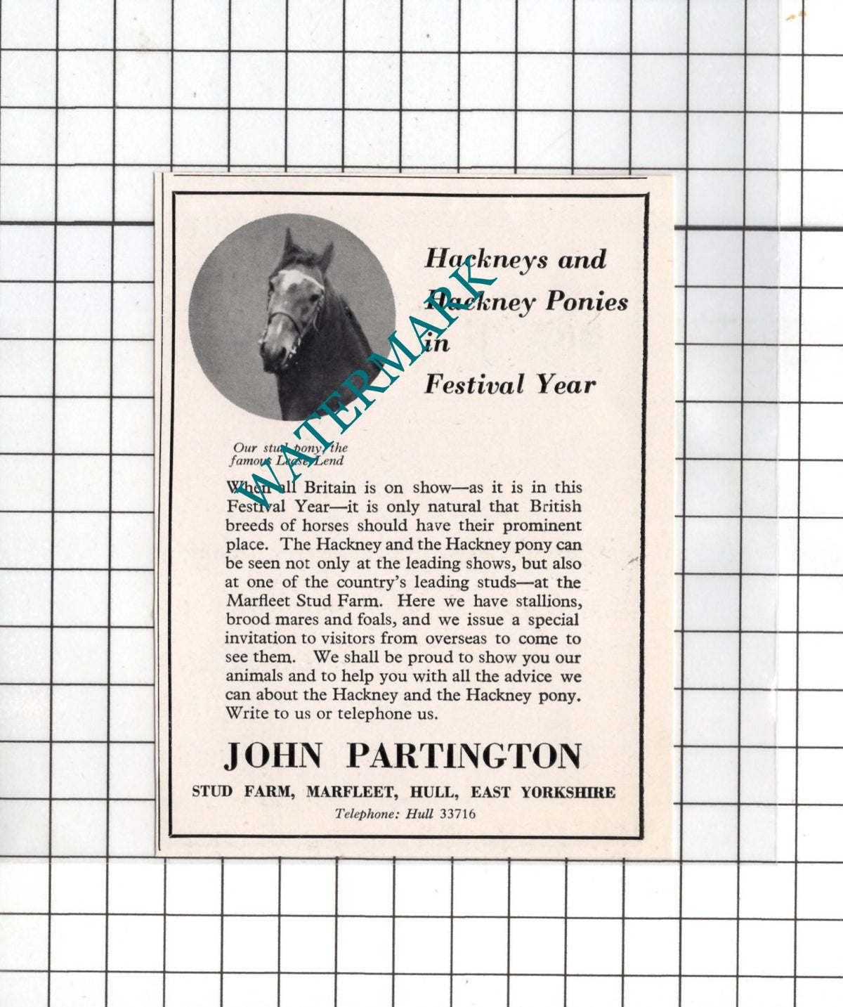 John Partington Stud Farm Marfleet Hull Lease-Lend Horse - 1951 SMALL Advert