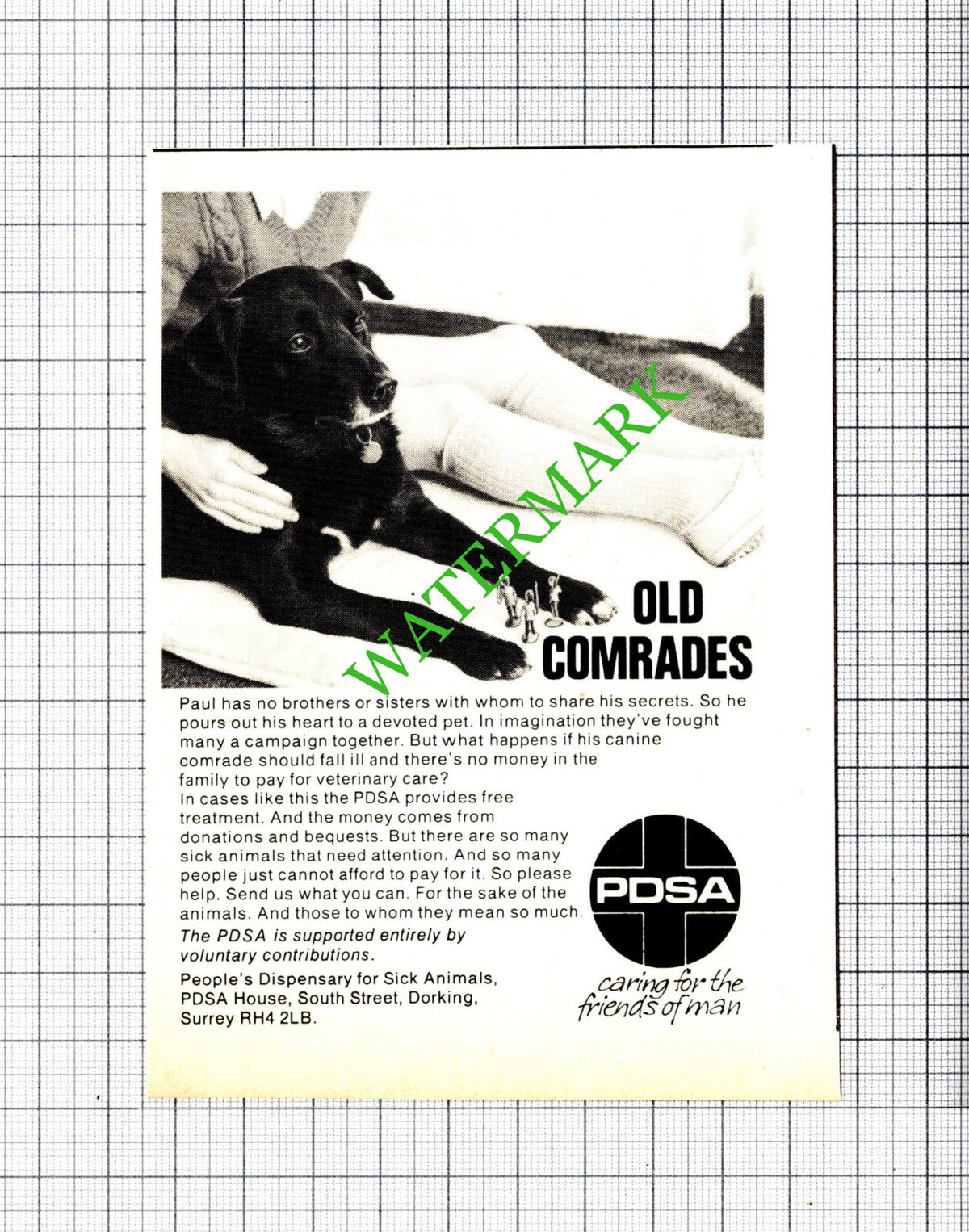 PDSA Small Advert - 1975 Cutting