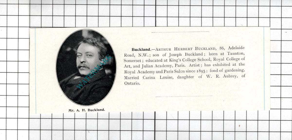 Arthur Herbert Buckland 86 Adelaide Road London - c.1905 Clipping