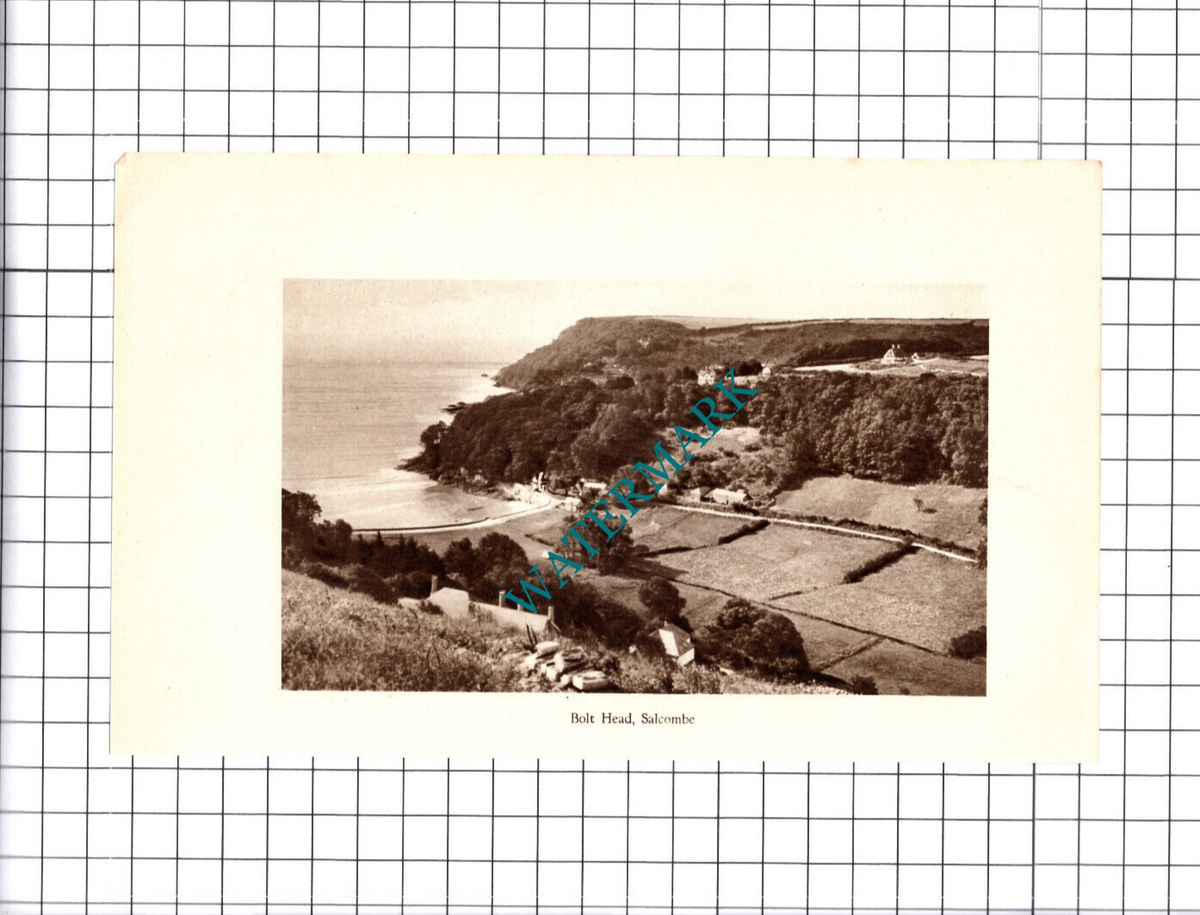 Bolt Head Salcombe Devon - 1930 Cutting / Print