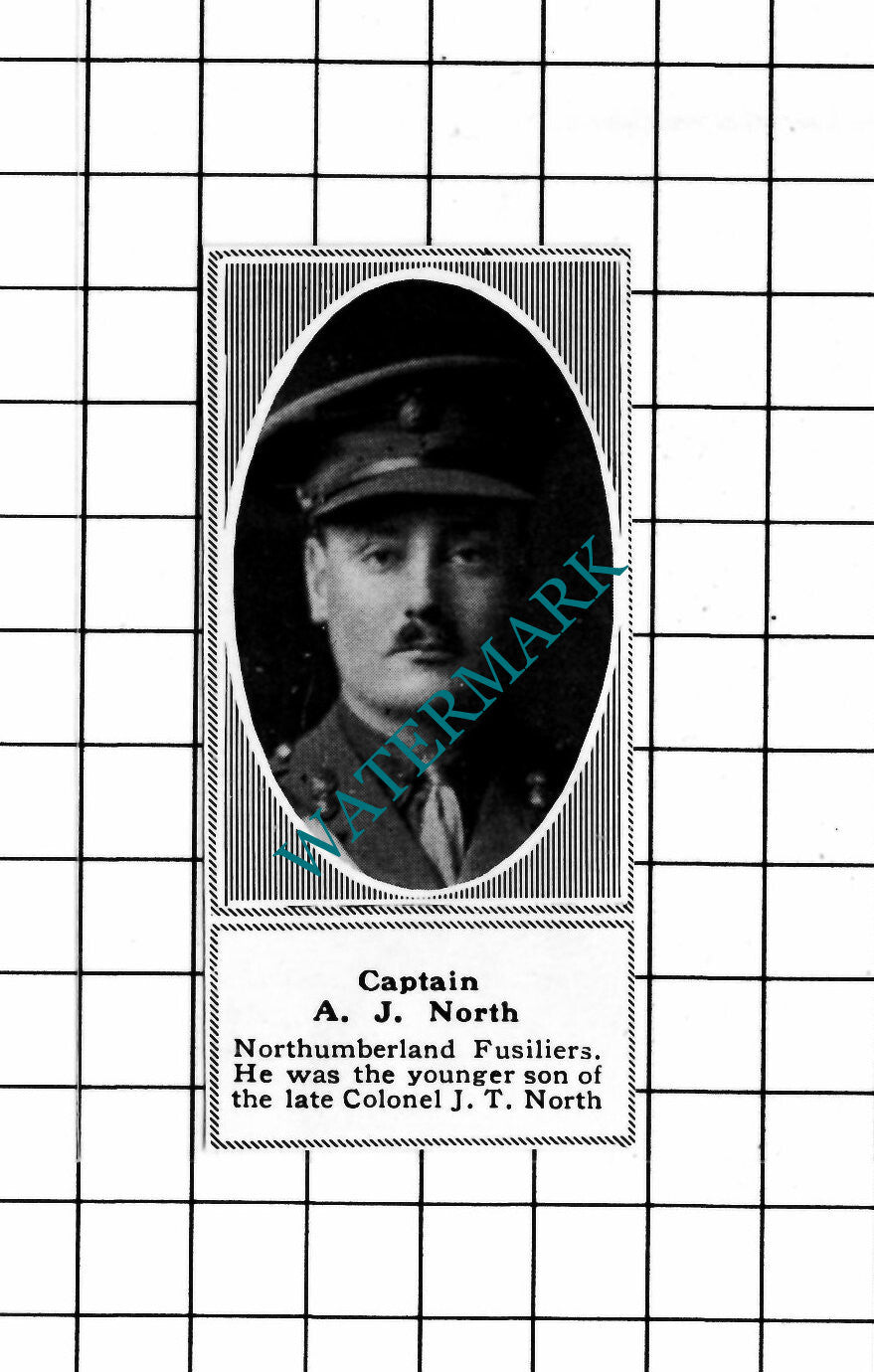 Captain A J North Northumberland Fusiliers WW1 - c.1918 SMALL Clipping / Print