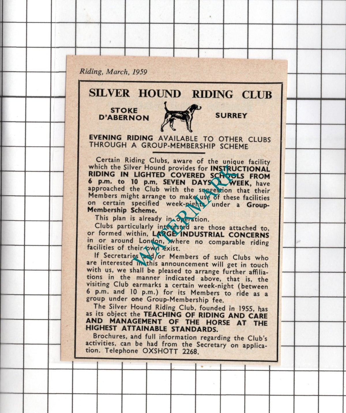 Silver Hound Riding Club Stoke D'Abernon Surrey - 1959 Small Advert