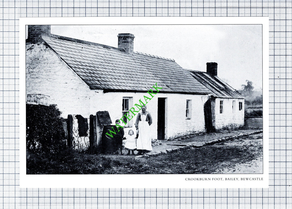 Crookburn Foot Bailey Bewcastle Cumbria - Cutting / Print