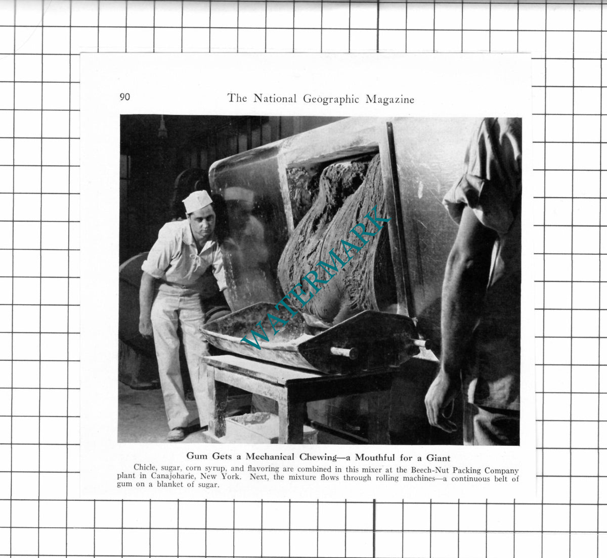 Beech Nut Packing Company Canajoharie New York USA - 1947 Clipping