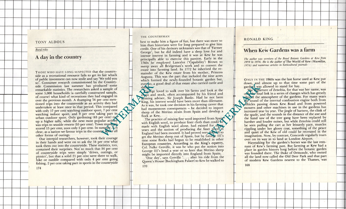 Kew Gardens - 1979 Article