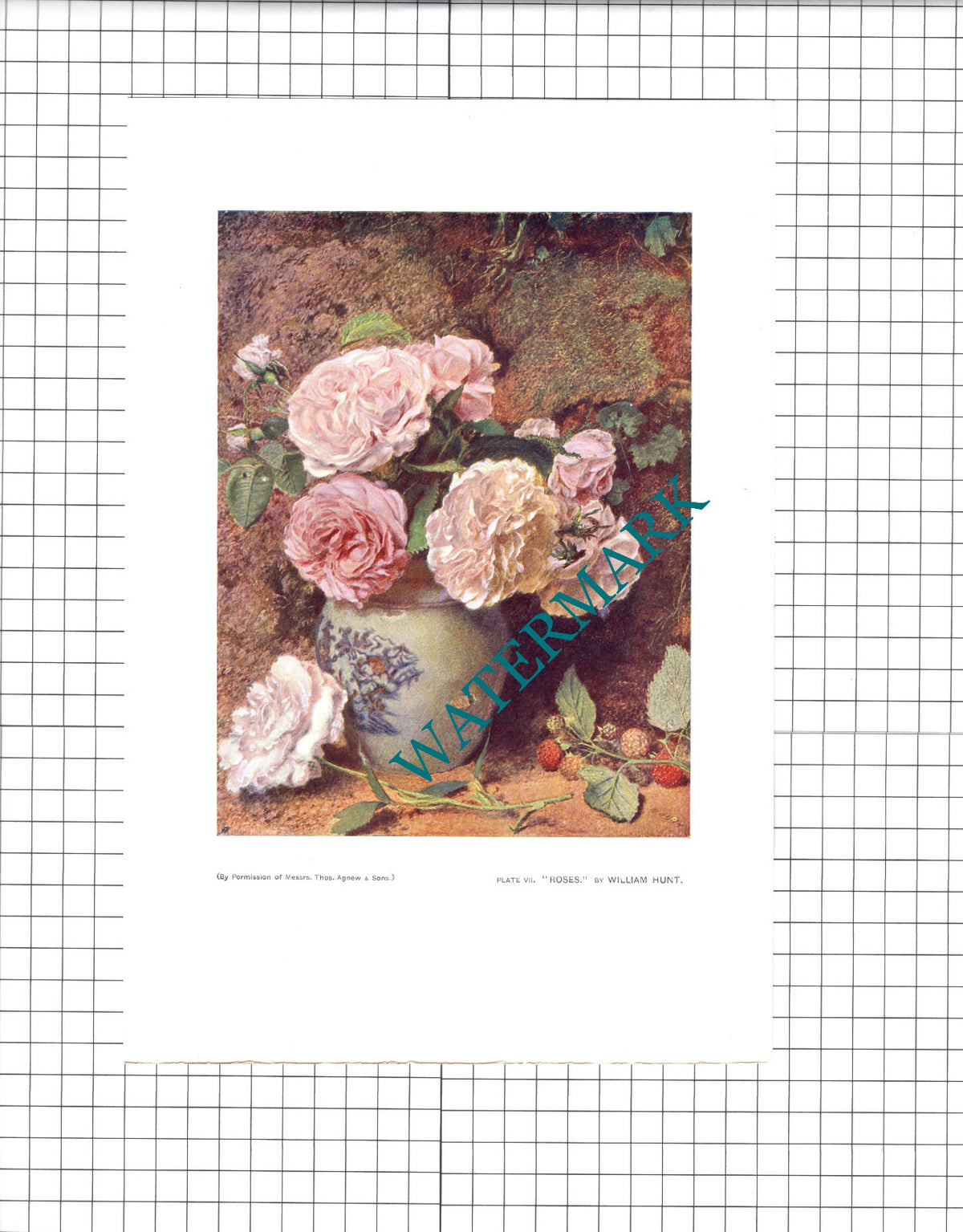 Roses William Hunt - 1904 Print