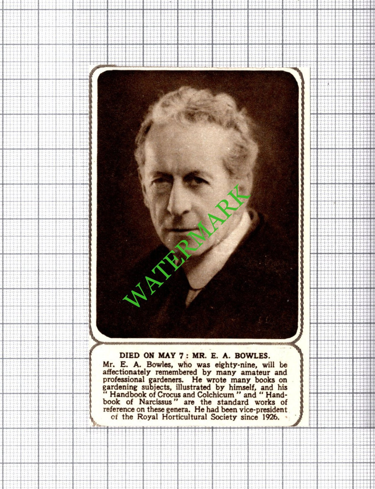 Mr E A Bowles Author Obituary - 1954 Small Cutting
