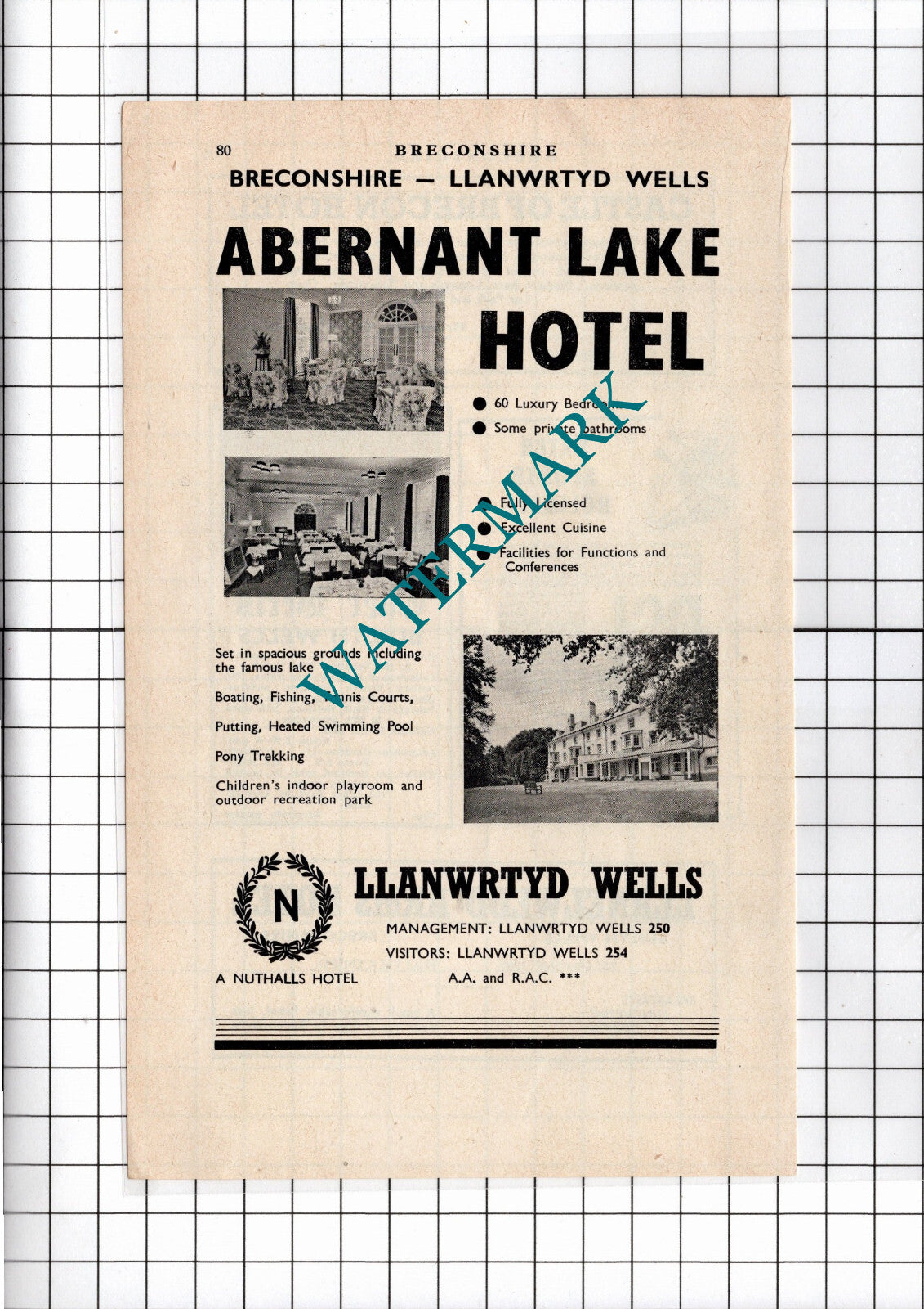 Abernant Lake Hotel Llanwrtyd Wells Wales - 1965 Advert