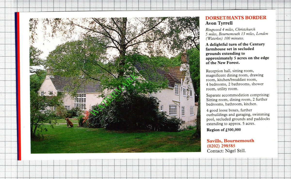 Avon Tyrrell New Forest House Sale Advert - 1991 Cutting