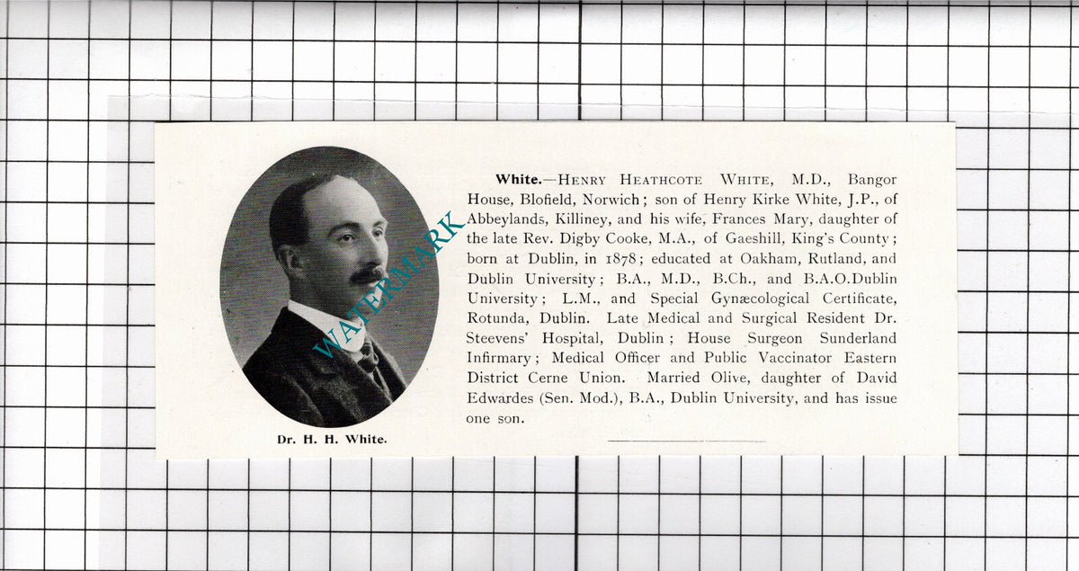 Dr Henry Heathcote White Bangor House Blofield Norwich Dublin - 1911 Clipping