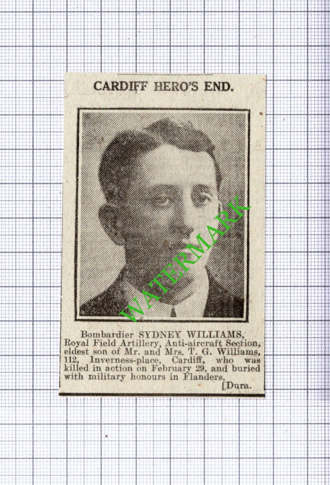 Sydney Williams Royal Field Artillery Cardiff Wales - 1916 Small News Cutting