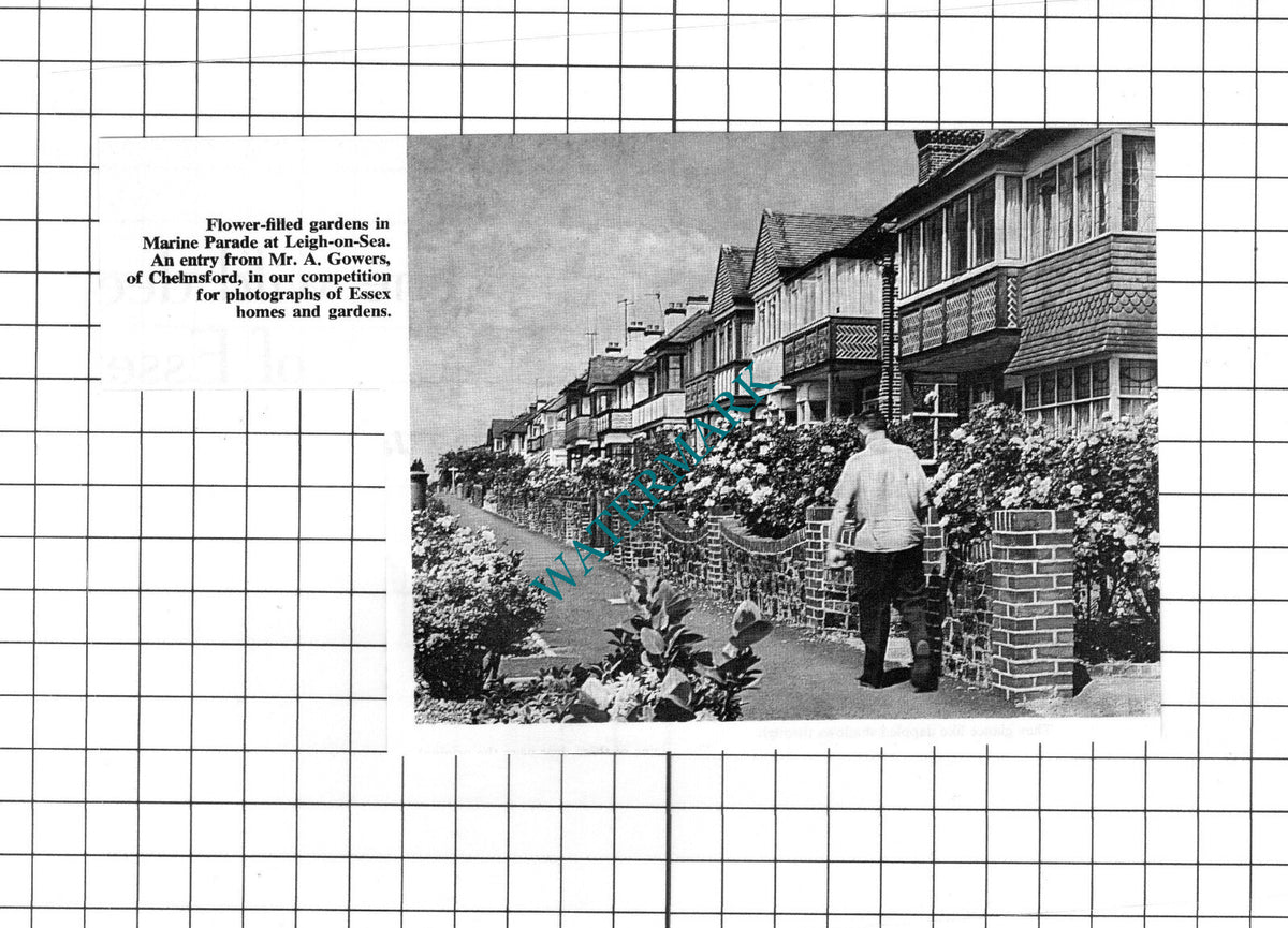 Marine Parade Leigh-on-Sea Essex - c.1967 Clipping / Print