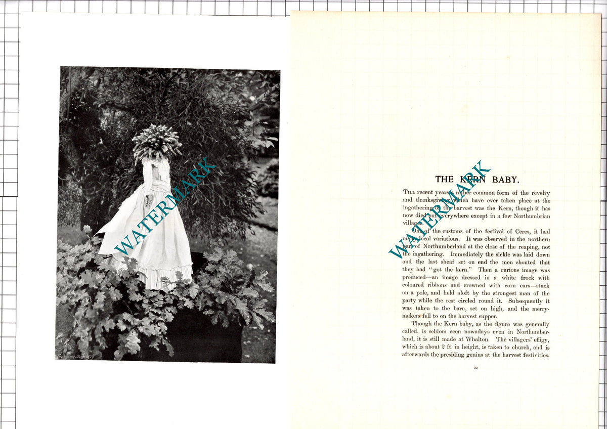 The Kern Baby Whalton - c.1904 Article / Print