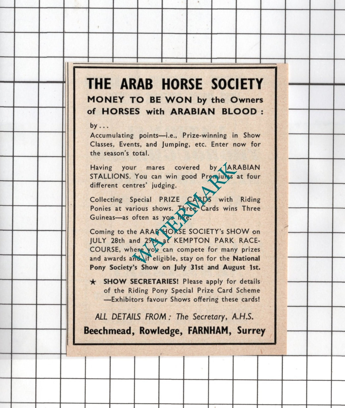 The Arab Horse Society Beechmead Rowledge Farnham Surrey - 1959 Small Advert